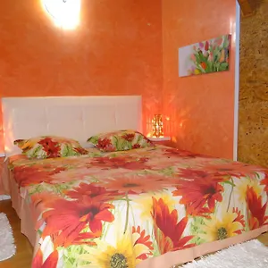 Apartment Orange Flower Sofia